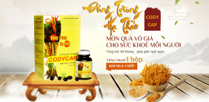 dong-trung-ha-thao